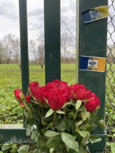 Ein Strauß roter Rosen lehnt an einem Holzpfosten, auf dem zwei Romford Away Crew-Sticker kleben. Im Hintergrund sieht man einen leeren Rasenplatz