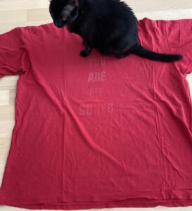 Rotes T-Shirt mit kaum sichtbarer Schrift "You are my Soner". Am oberen Ende sitzt eine schwarze Katze.